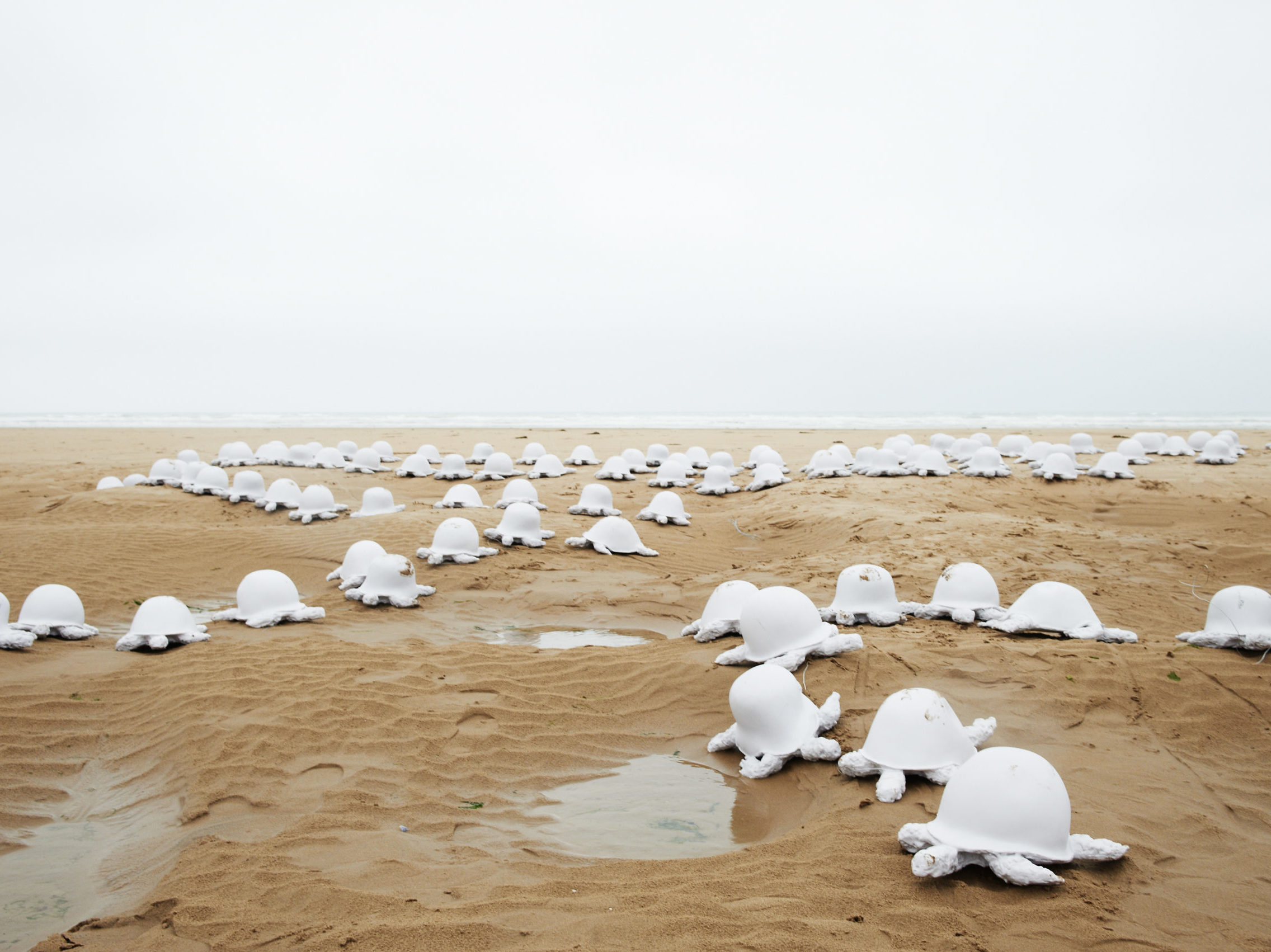 Tortues sur la plage d'Omaha beach, pvc, 2011