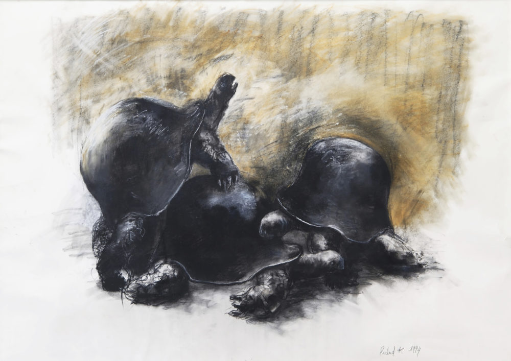 SCÈNE DE TORTUES, 
dessin crayon, pierre noire, 1994